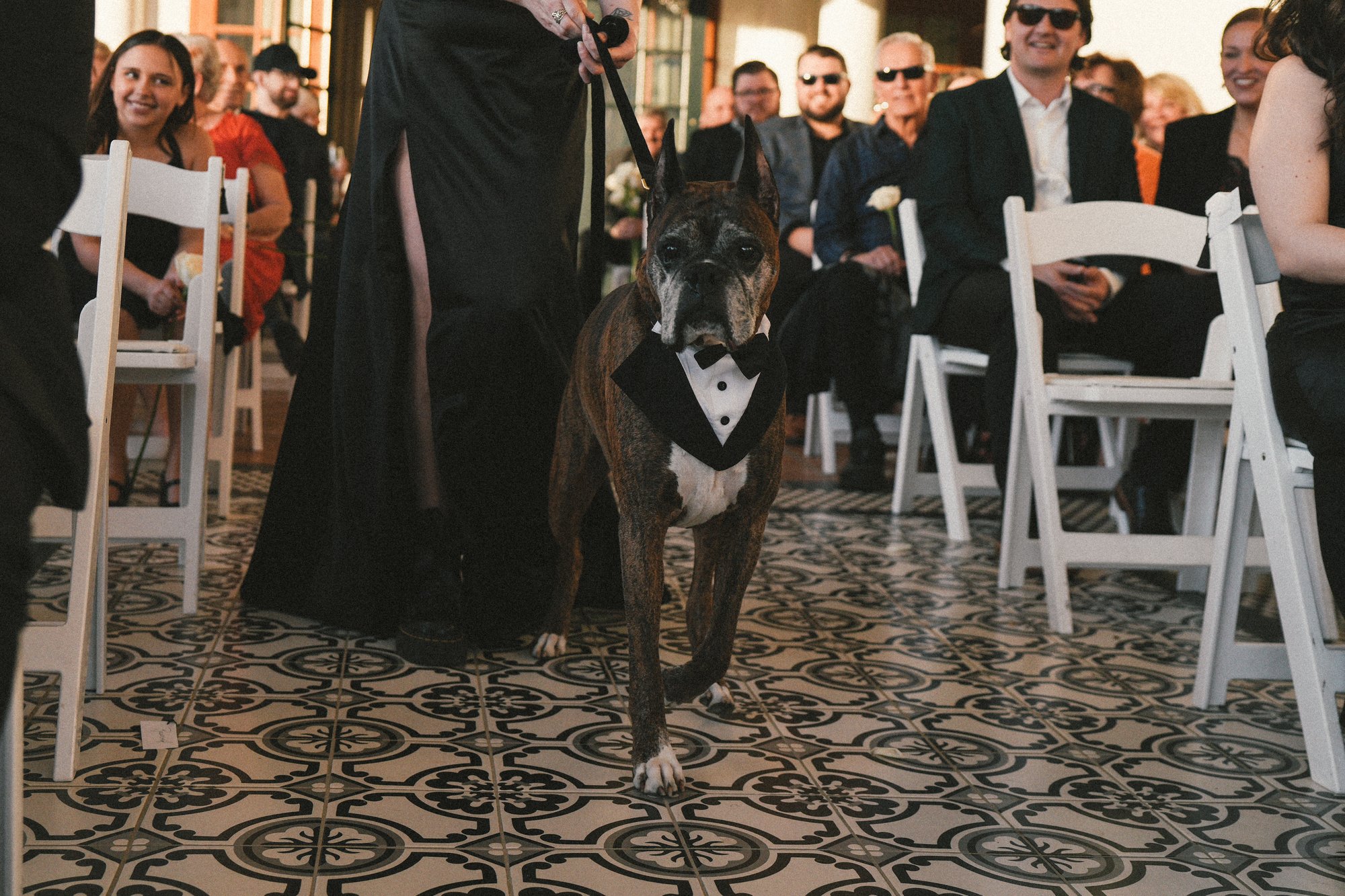 Couple's dog during family portraits, Coachella Valley wedding photography